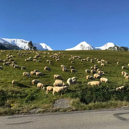 Rekreacny Dom Piero Feriehus Ždiar